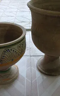 گلدان زیبا برای خانه  وشرکت های زیبا وبزرگ