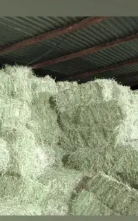 یونجه درجه یک انباری