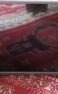 تلوزیون ۴۳