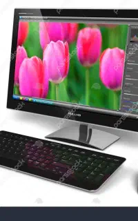 جویای کار