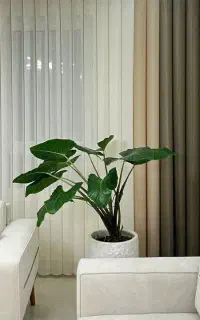 نصاب پرده