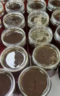 عسل گشنیز برداشت امسال