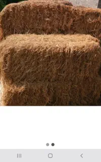 تعداد ۵۰ عدد کاه برنج