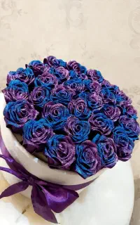 گل رز روبانی
