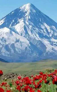 جذب محتوا نویس انگلیسی