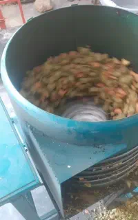 پوست کن سبز گردو