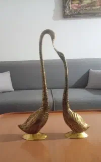 قوو برنز