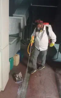 سمپاشی ساس سوسک و حشرات موذی تضمین۱۰۰٪ درصدی