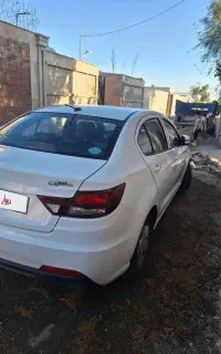 شاهین جی