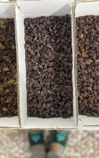 کشمش یک به یک