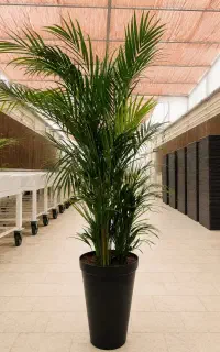 فروشنده جهت گلخانه