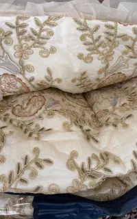 روتختی مجلسی