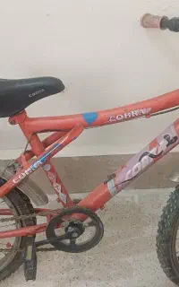 دوچرخه