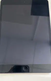 ipad mini 2