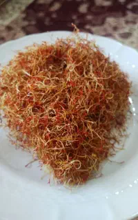 ریشه زعفران
