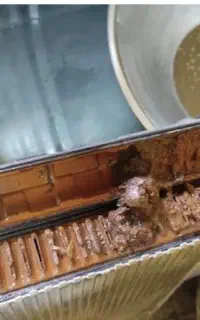 سرویس کار رادیاتور ماهر