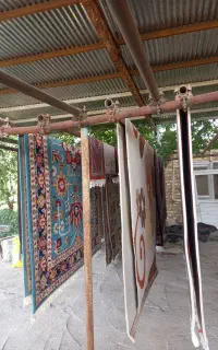 قالیشویی احدی