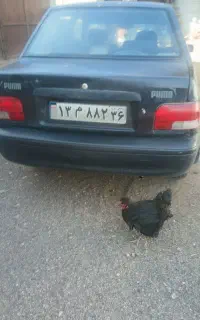 ماشین