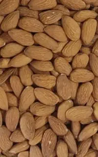 فروش مغز بادام