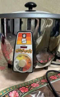 پلوپز برقی