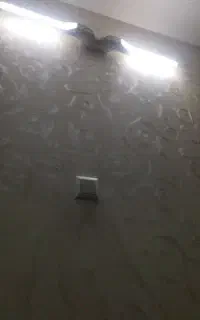 اجاره مغازه پاساژ اکسین