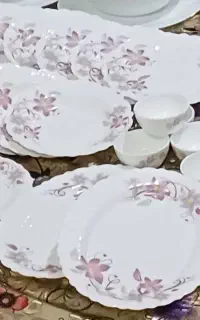 ظرف ارکوپال