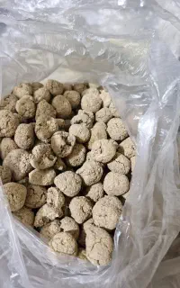 کلگ تازه