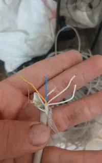 سیم ۲/۵ چند رشته ای مسی