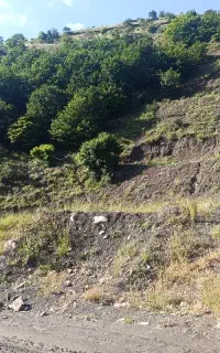 استخدام راننده بیل مکانیکی پیکور