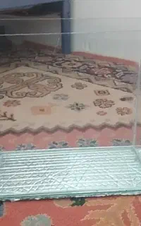 اکواریوم