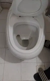 توالت فرنگی