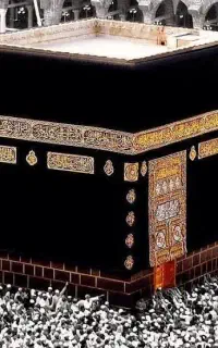 سرکتاب رایگان