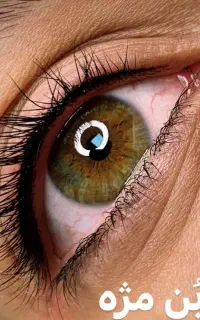 استاد آرایش دائم از اصفهان هستم