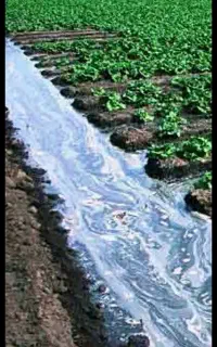 فروش حق آبه در را ه اردکلو به بناب