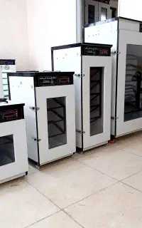 دستگاه جوجه کشی مارک هدایت