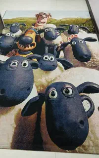 فرش