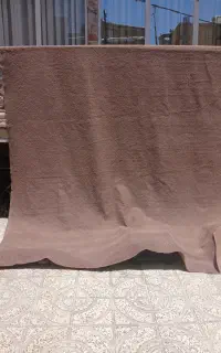 موکت