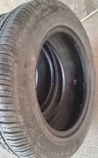 لاستیک کوئیک