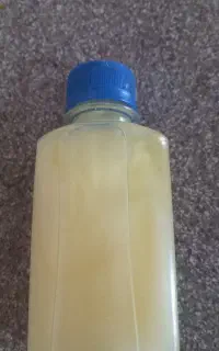 روغن شترمرغ
