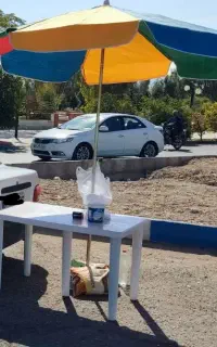چتر