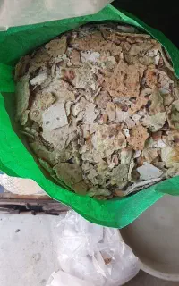 نون خشک