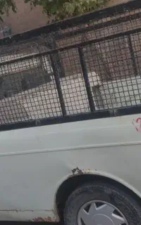 پیکان وانت سالم