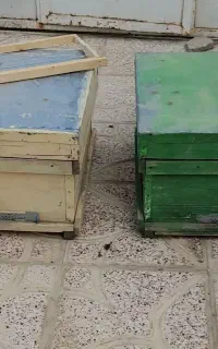 کندو  سالم و تمیز همراه قاب