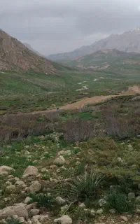 فروش خط همراه اول رند