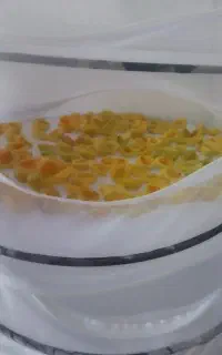 توری خشک کن میوه و سبزیجات