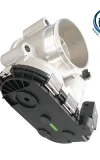 دریچه گاز برقی دنا