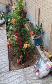 اجاره روزانه/هفتگی آپارتمان ۱۲۰ متری