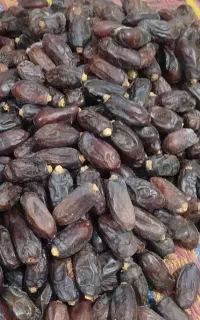 خرمای ربی کرمان