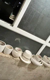 گلذان ها کاملا سالم