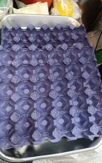 شانه تخم مرغ